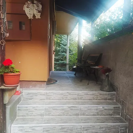 Ludwigs サラエヴォ